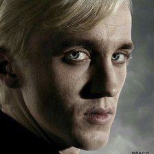 Схема вышивки «Драко»