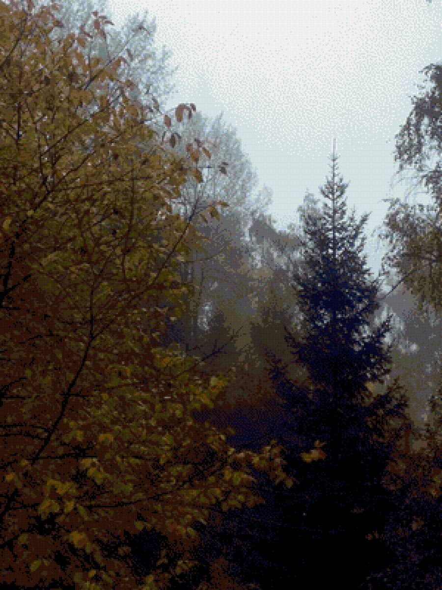 Осень в лесу - осень, пейзаж, лес - предпросмотр