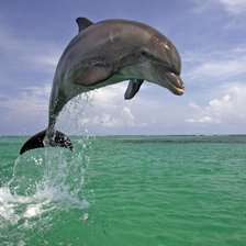 Схема вышивки «№2629582»