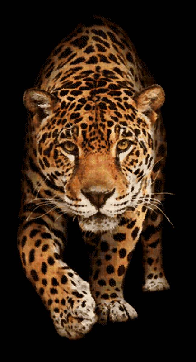 Леопард - предпросмотр