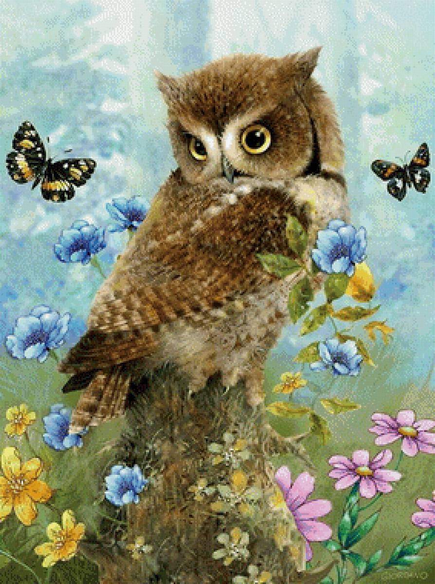 Сова - сова - предпросмотр