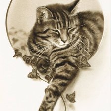 Схема вышивки «Кот»