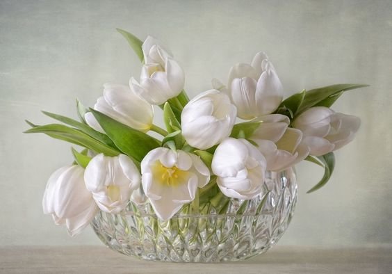 №2629900 - оригинал