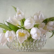 Схема вышивки «№2629900»