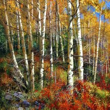 Краски осеннего леса