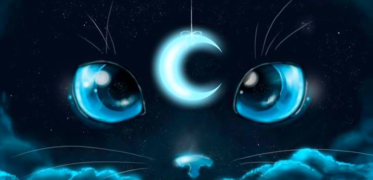 кот и луна - кот, луна - оригинал