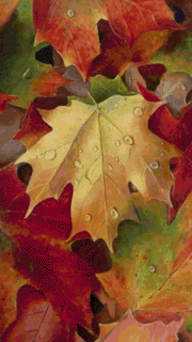 Осенние листья - листья, осень - предпросмотр