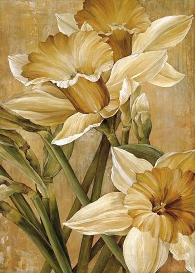 Нарциссы - нарциссы, цветы, весна - оригинал