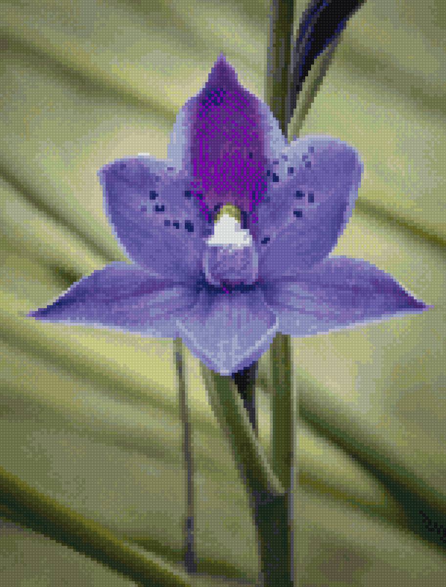 Цветы - цветы - предпросмотр