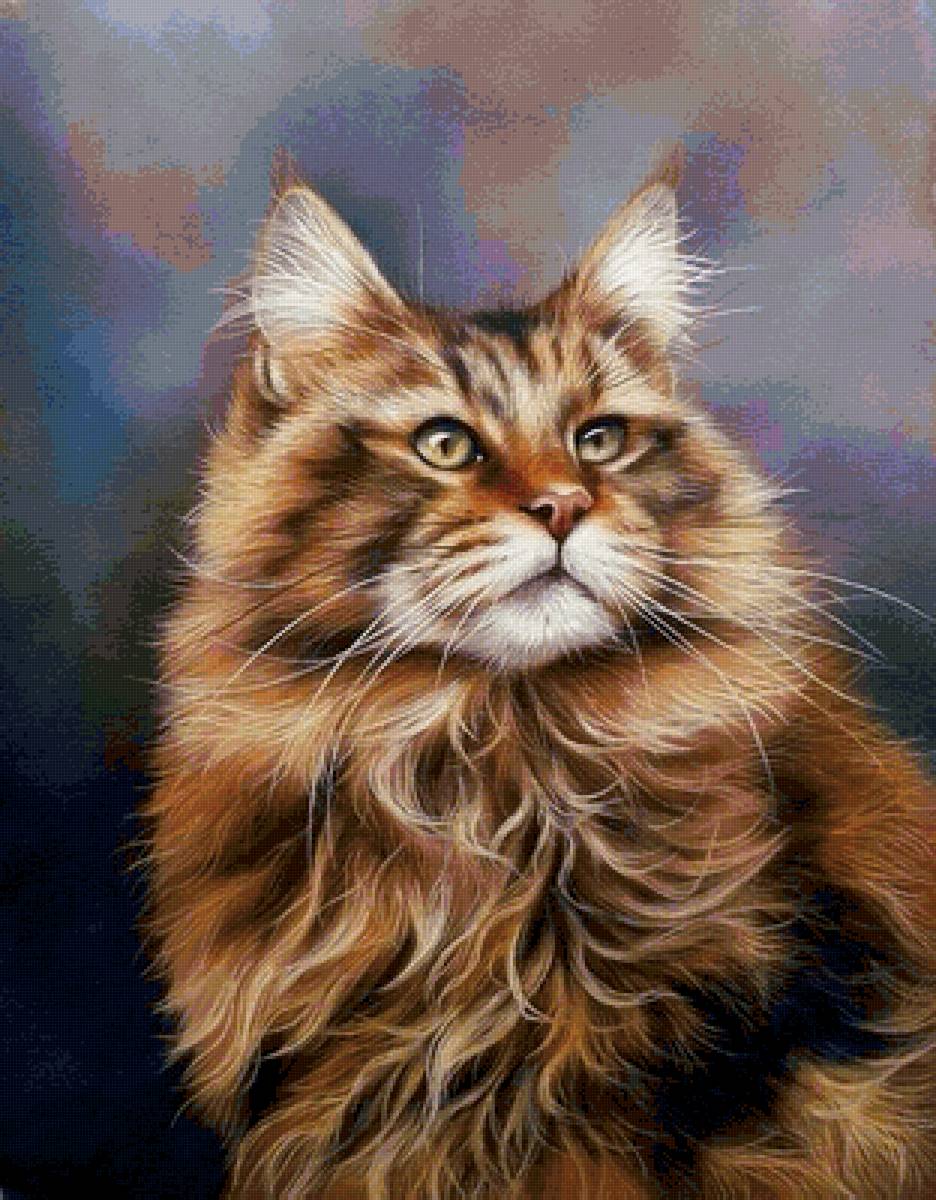 Кот - кот - предпросмотр