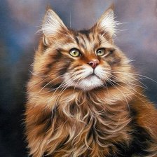 Схема вышивки «Кот»