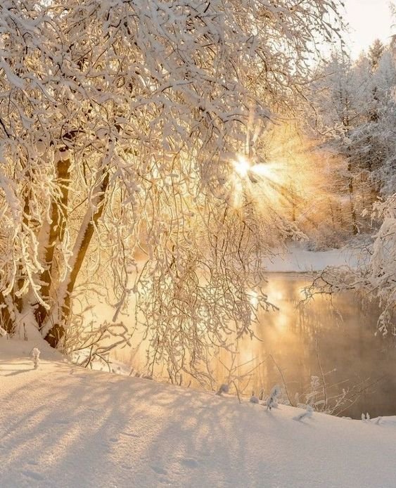 №2630681 - оригинал