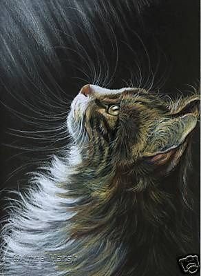 Кот - кот - оригинал