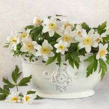 Схема вышивки «№2630727»