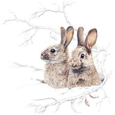 Схема вышивки «№2630880»