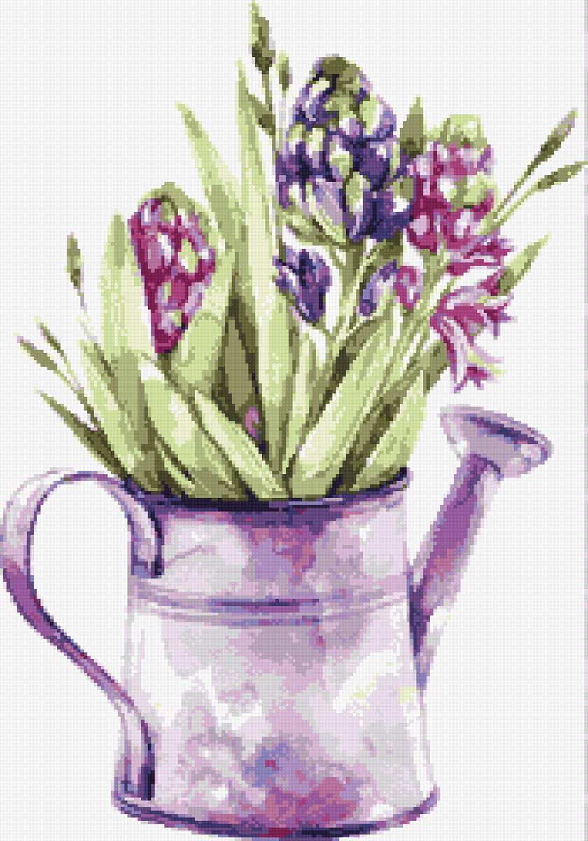 Гиацинт - цветы, рисунок - предпросмотр