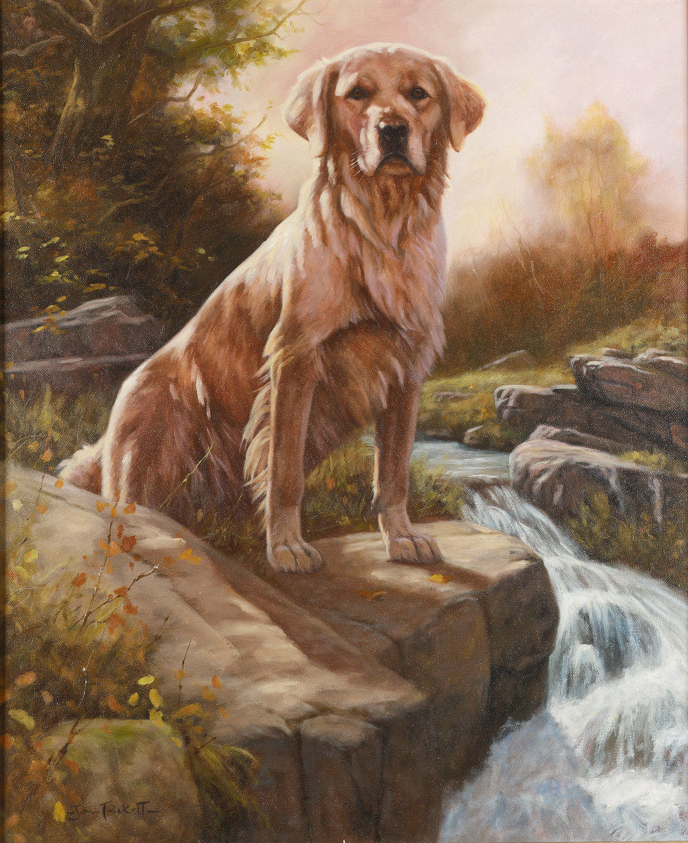 John Trickett - собака, щенок - оригинал