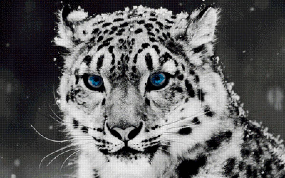 монохром леопард - леопард, зима - предпросмотр
