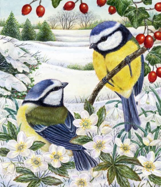 Синицы - птицы, синицы, зима - оригинал