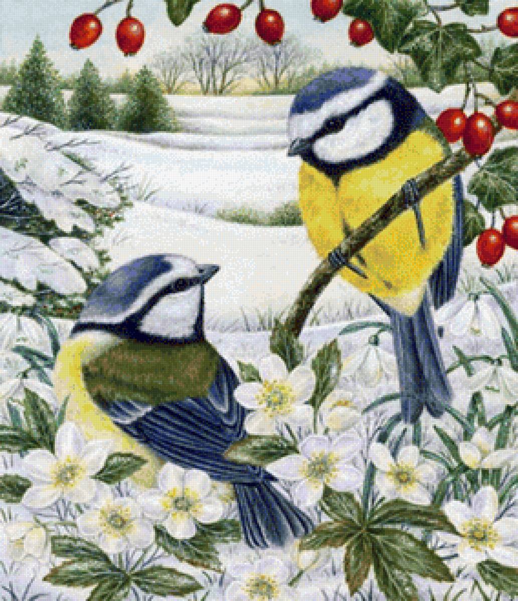 Синицы - птицы, зима, синицы - предпросмотр