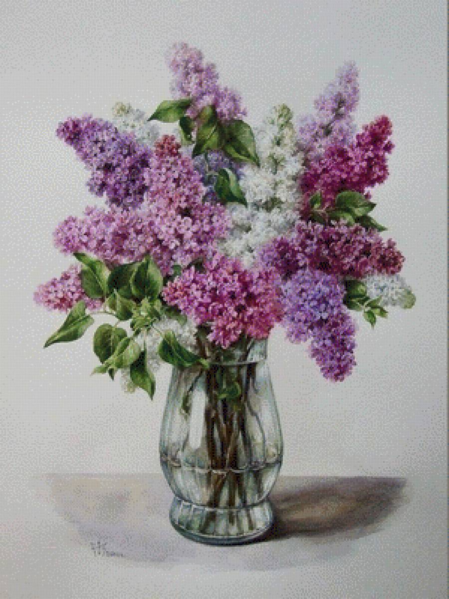 Букет сирени - сирень - предпросмотр