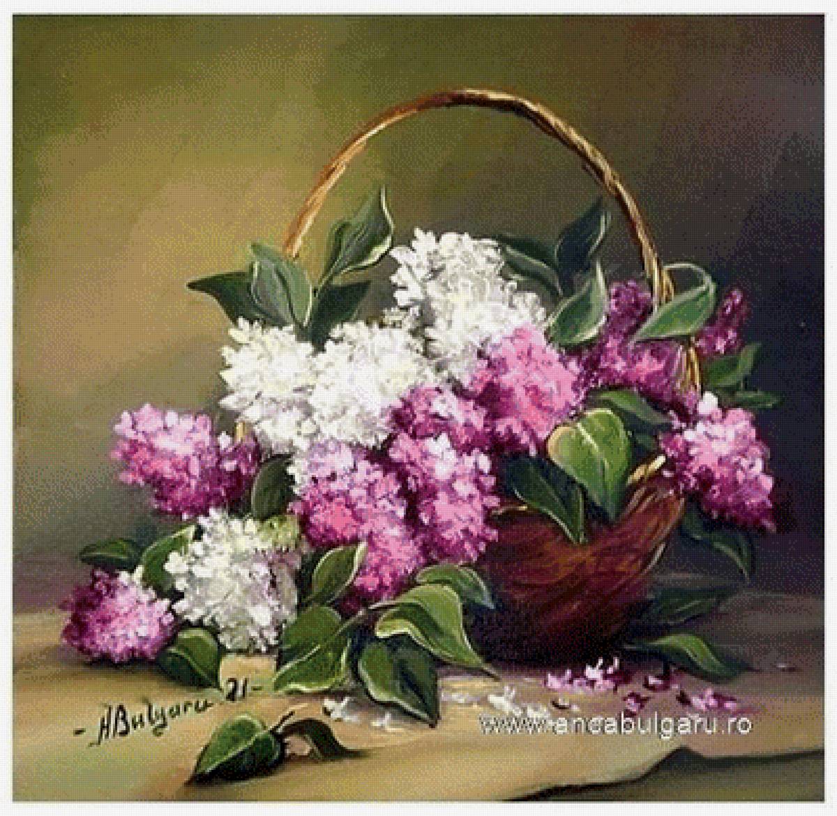 Сирень - сирень - предпросмотр