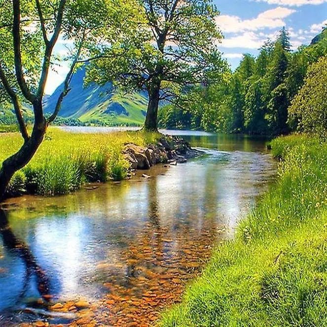 Природа - река, солнце, деревья - оригинал