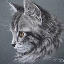 Схема вышивки «Кот»