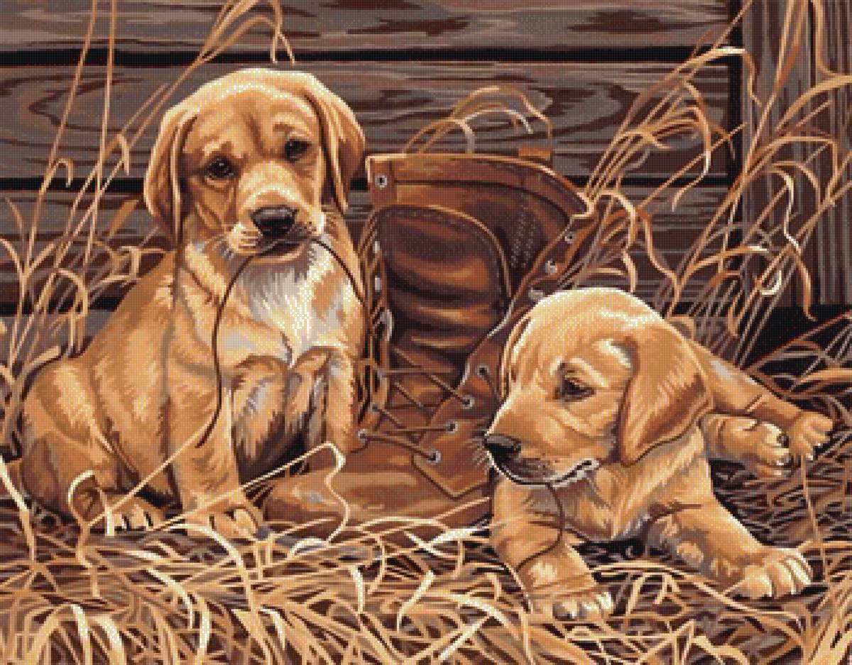 Щенки - щенки - предпросмотр