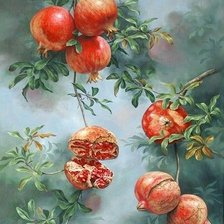 Схема вышивки «Гранат»