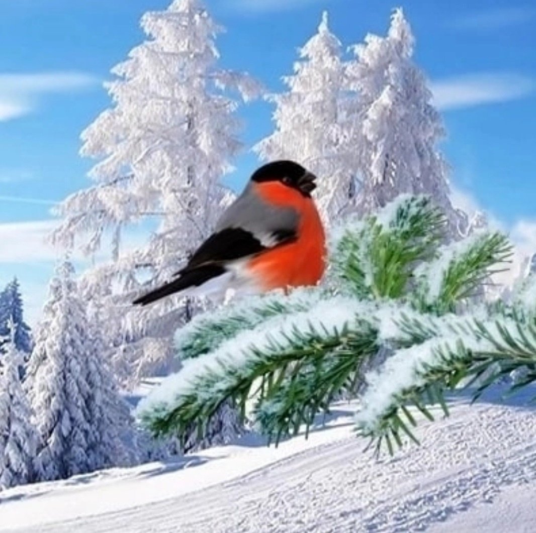 Зима в лесу. - пейзаж, зима, пнк - оригинал