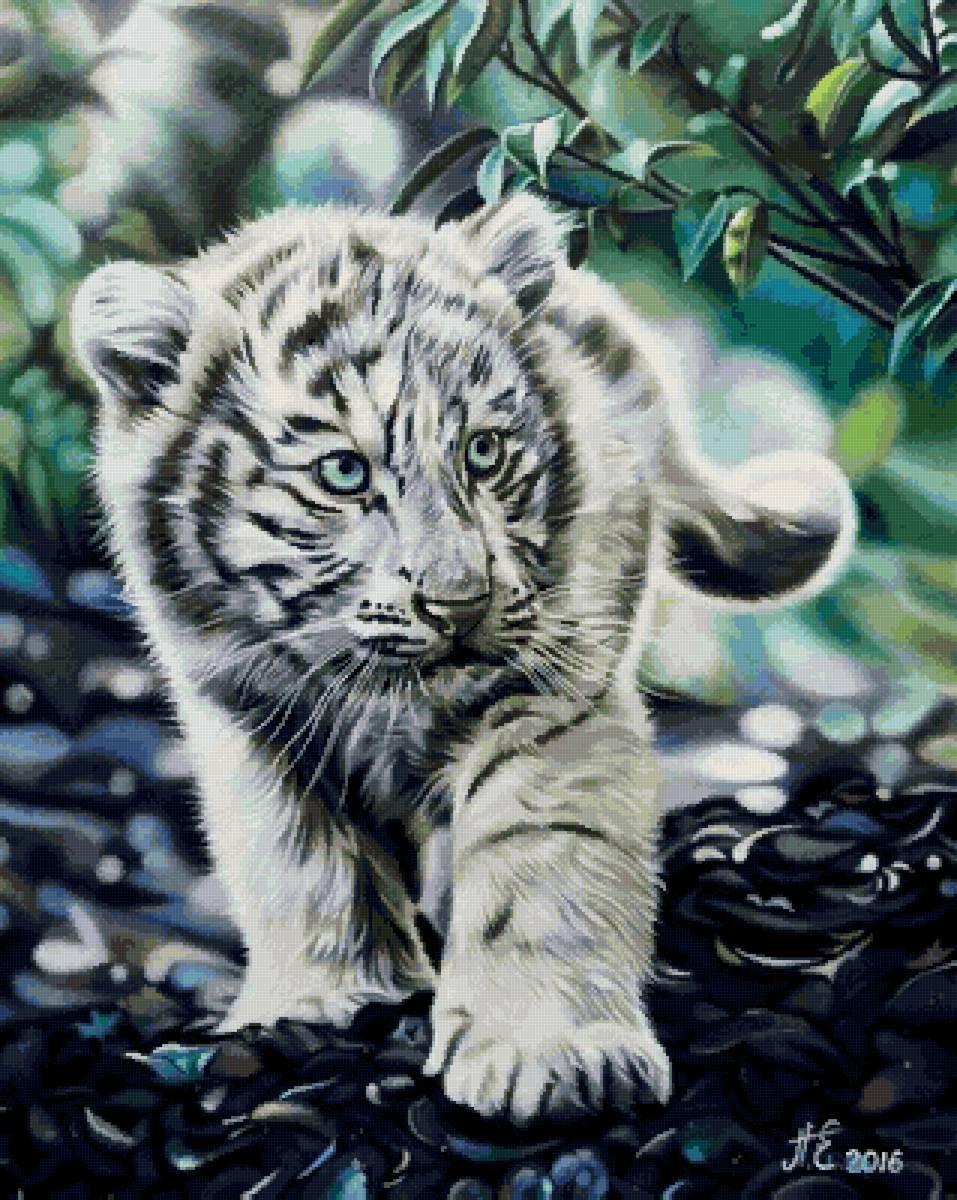 №2632837 - животные, тигр - предпросмотр