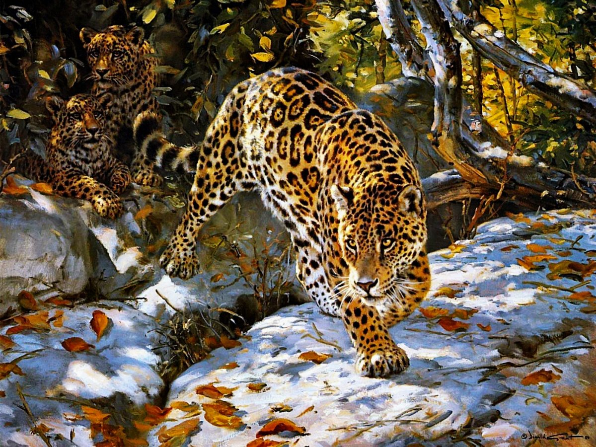 №2632856 - животные, леопард - оригинал