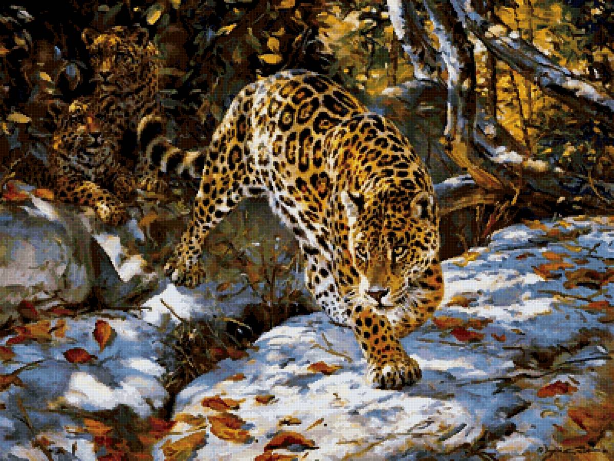 №2632856 - животные, леопард - предпросмотр