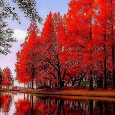 Схема вышивки «,красная осень»