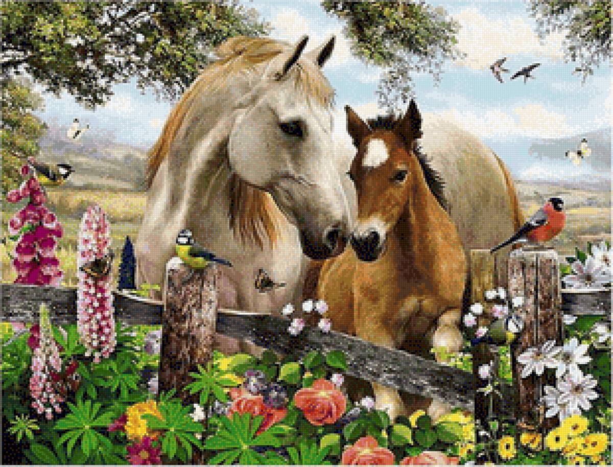 CABALLOS - предпросмотр