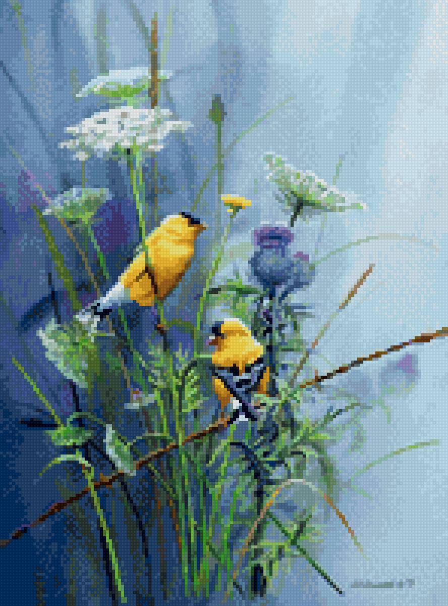 Птички - птицы - предпросмотр