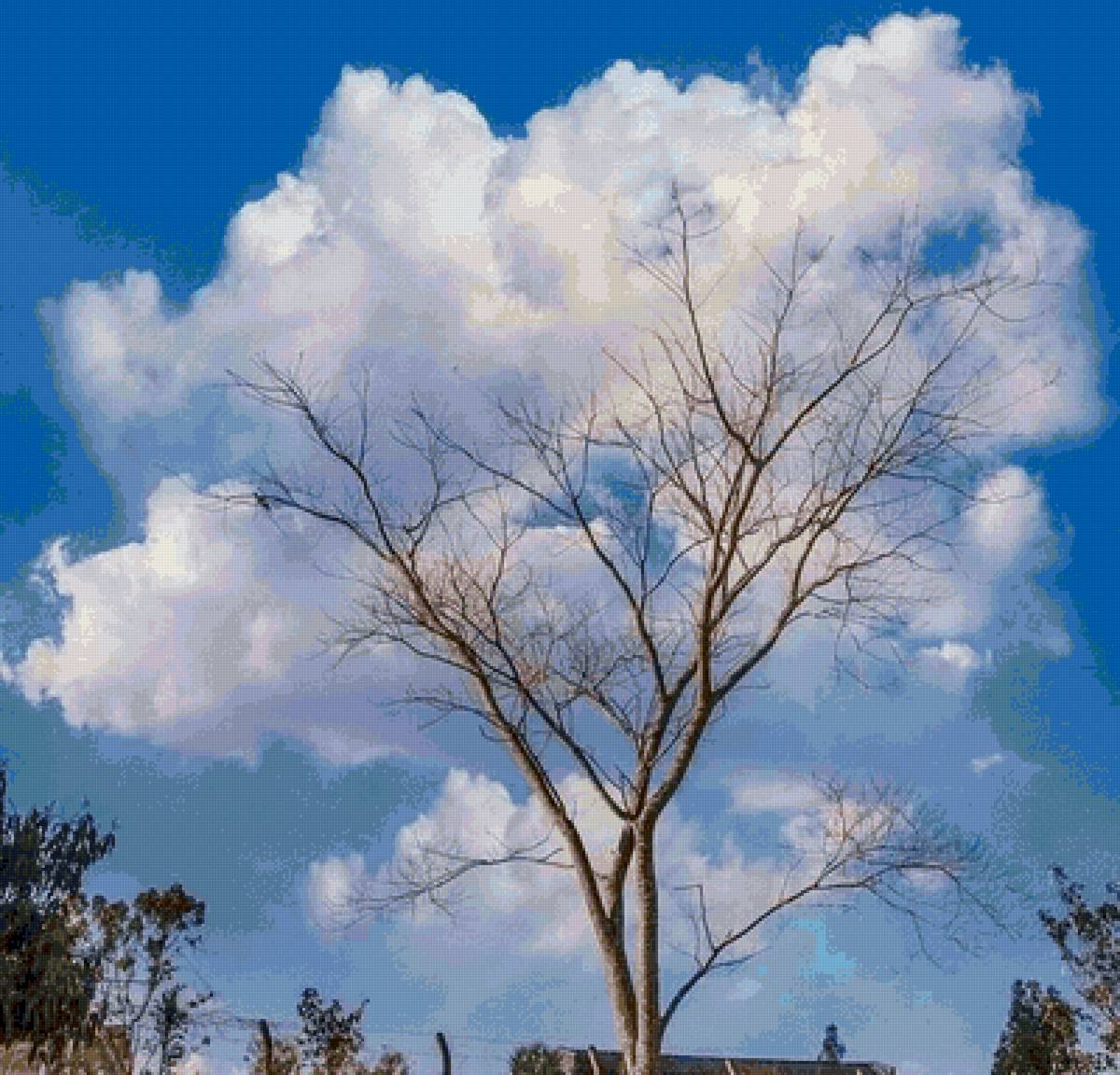 дерево - дерево - предпросмотр