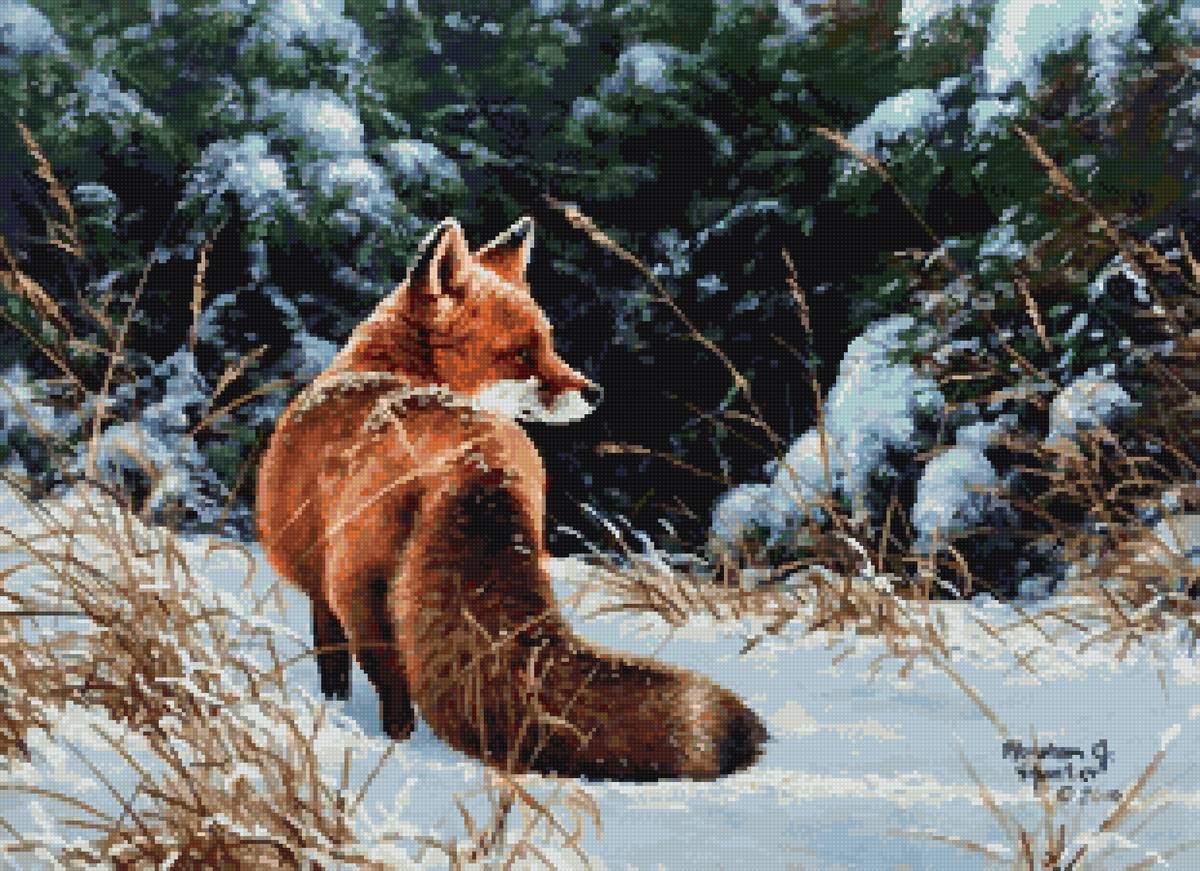 Лиса - лиса, картина, зима - предпросмотр