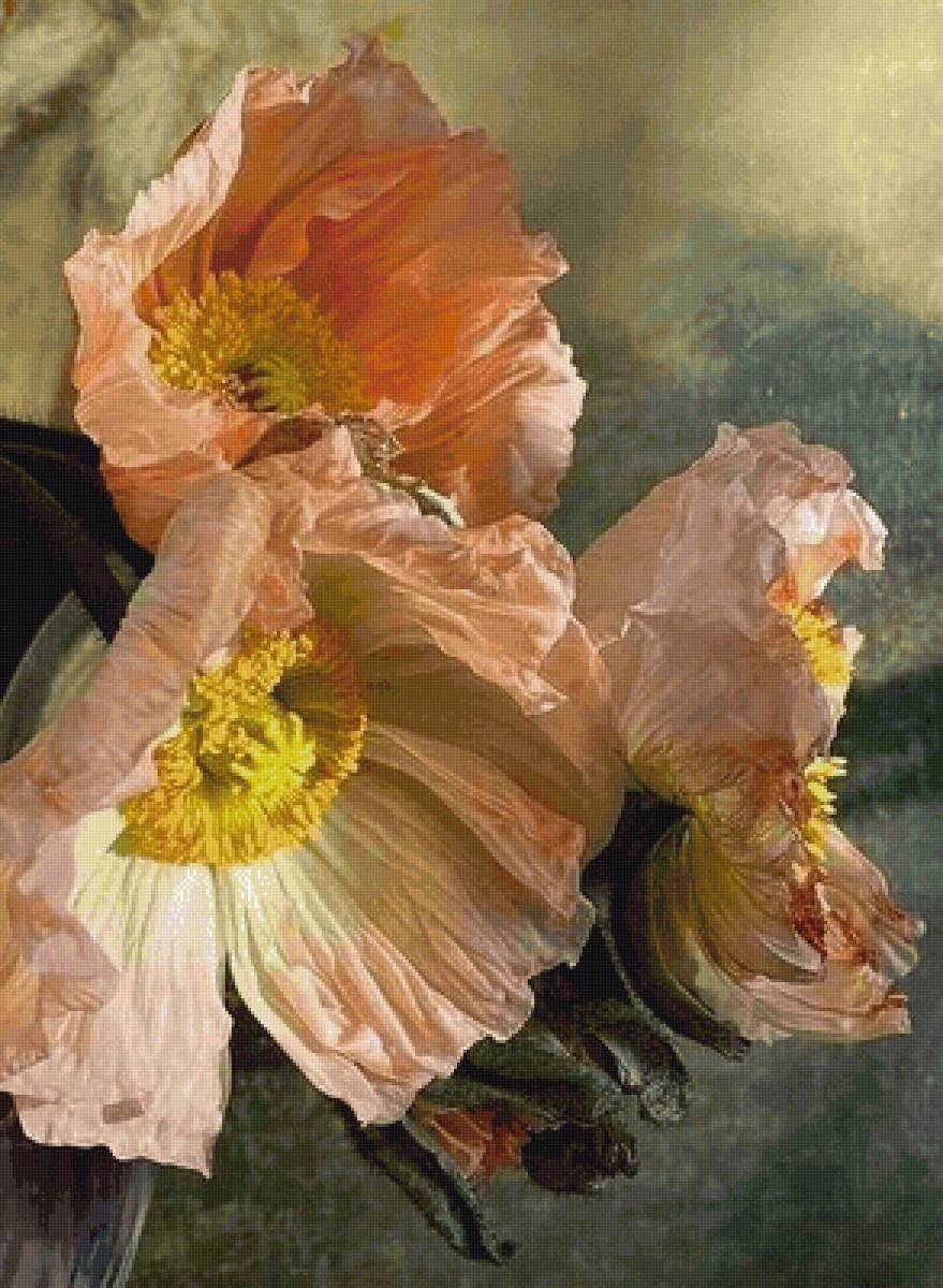 Маки 2 - маки, пастель, пнк кирова - предпросмотр