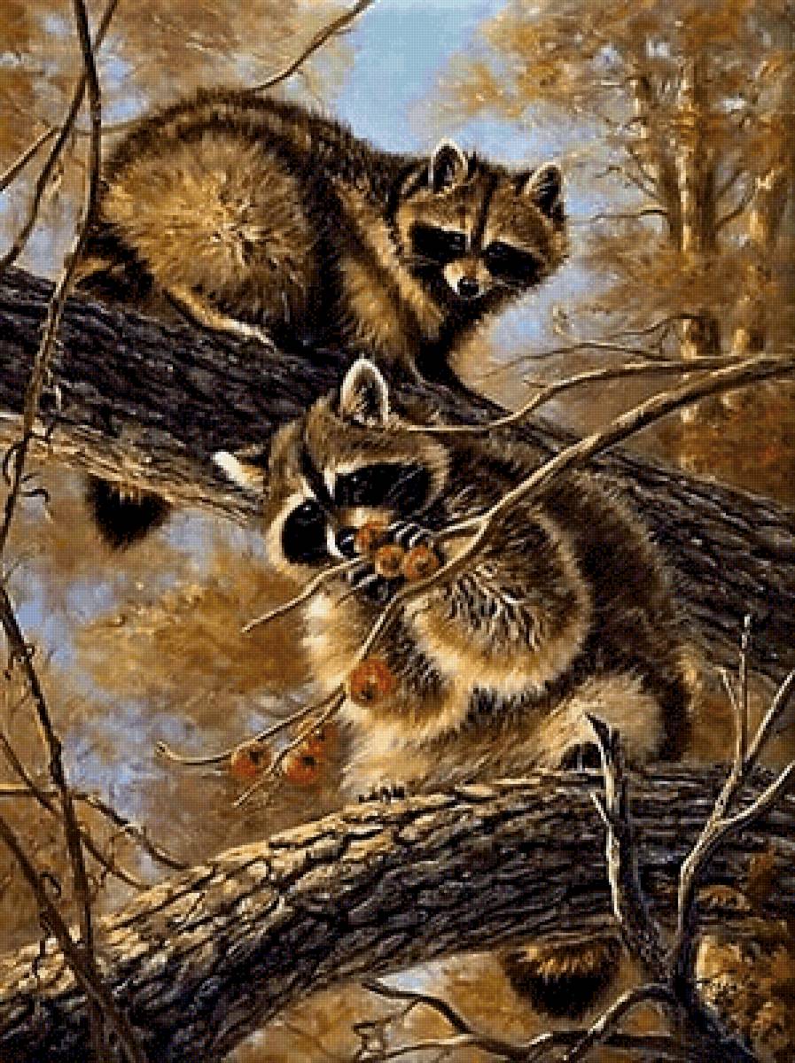 Еноты 2 - животные - предпросмотр