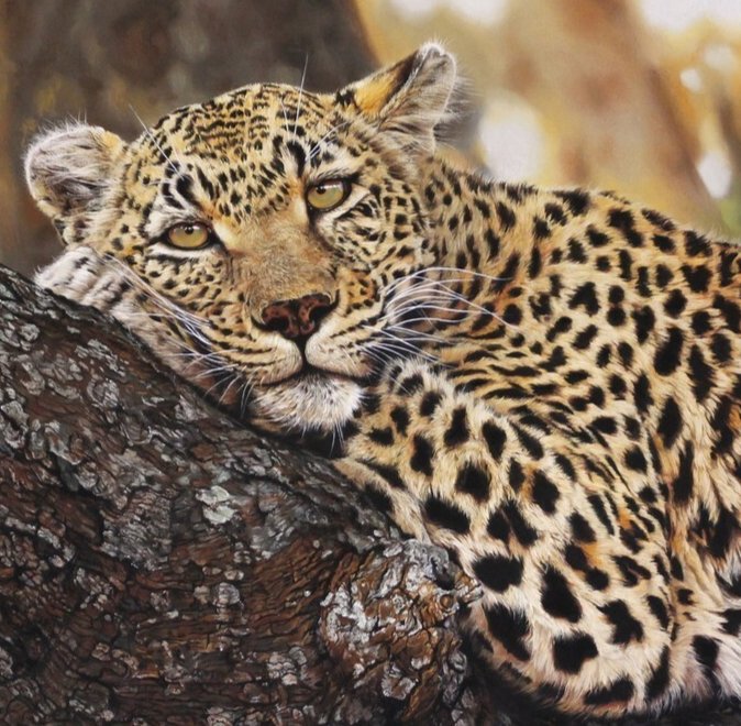 Грусть - фауна - оригинал