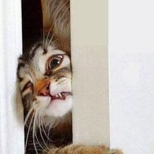 Схема вышивки «№2634313»