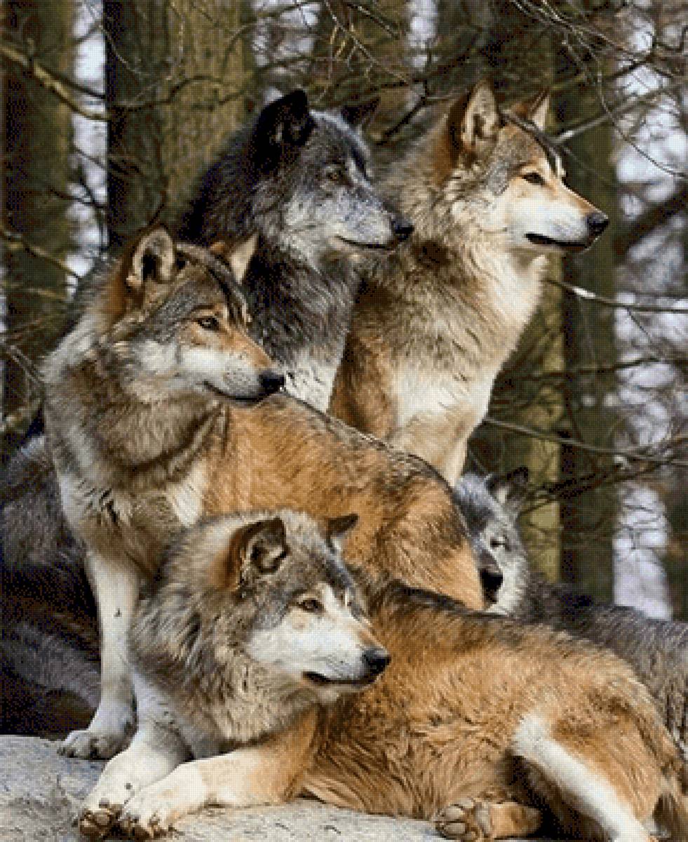 №2634354 - предпросмотр