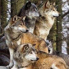 Схема вышивки «№2634354»