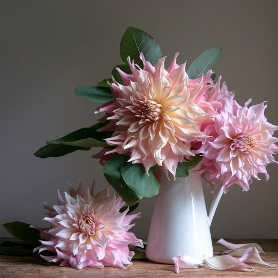 №2634355 - оригинал