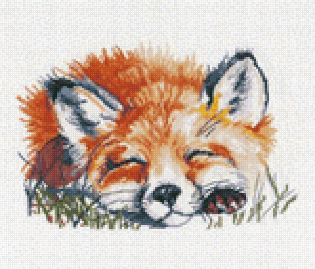 Лис - предпросмотр