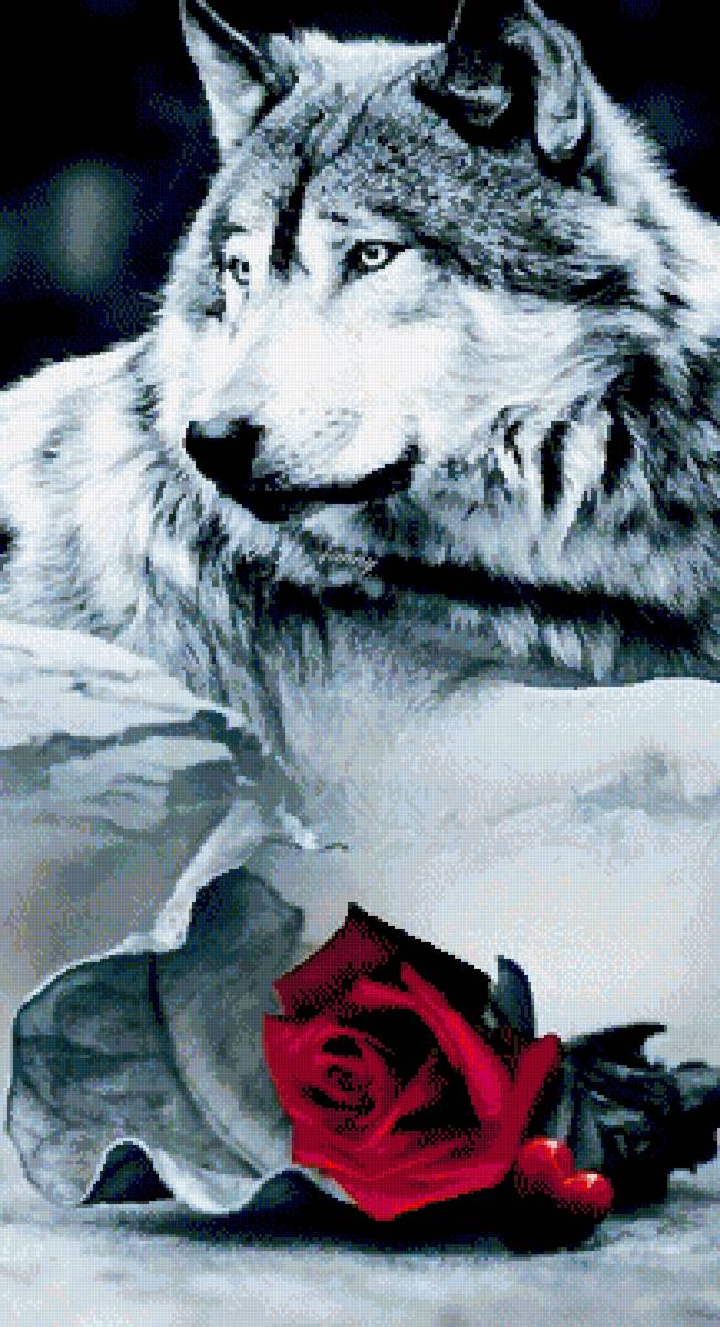 wolk - предпросмотр