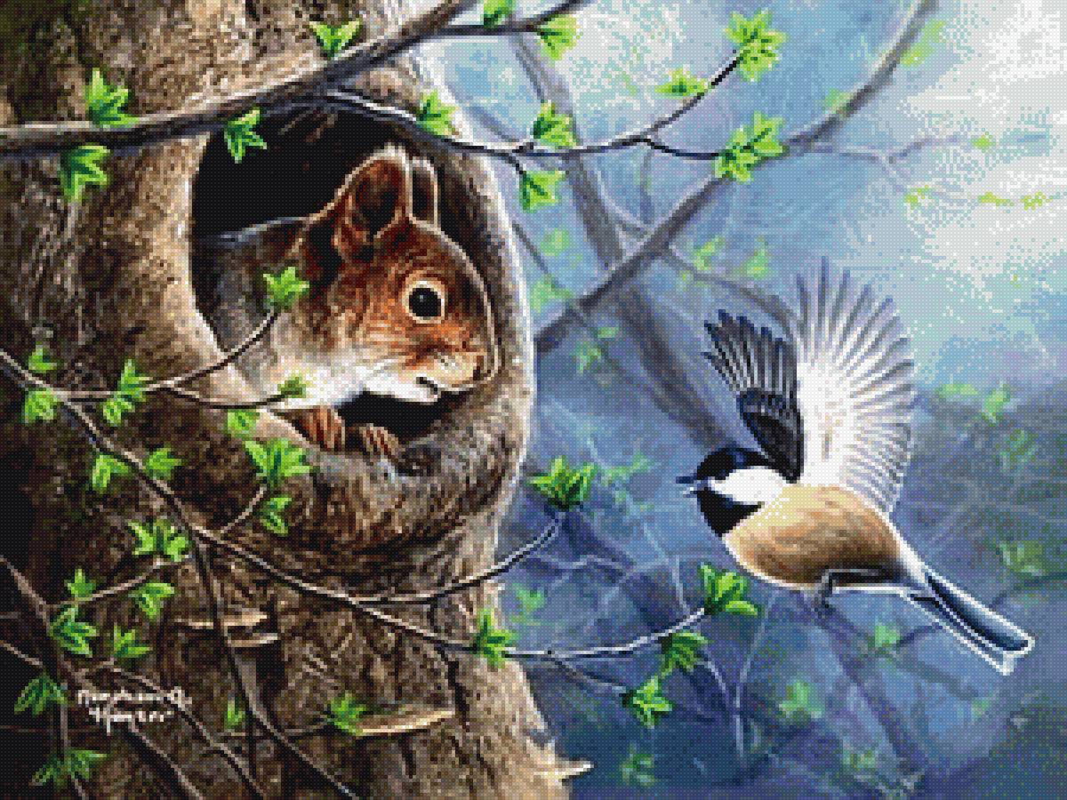 Лесные соседи - птица, белка, лес - предпросмотр