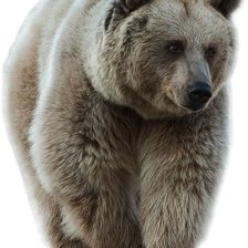 Схема вышивки «№2635578»